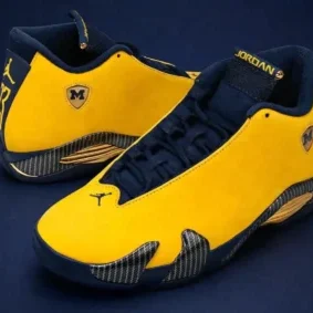 Michigan Wolverines Air Jordan 14 PE1